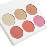 Highlighter Blush Pallet